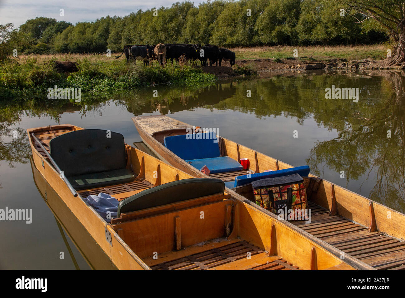 Punts on the banks of the River Cherwell in Oxford, Oxfordshire Stock Photo