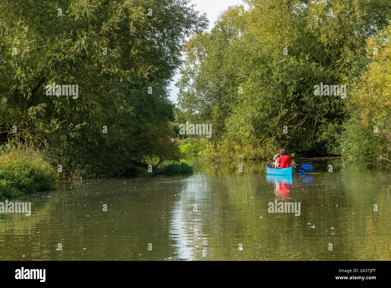 A couple canoe on the River Cherwell in Oxford, Oxfordshire Stock Photo