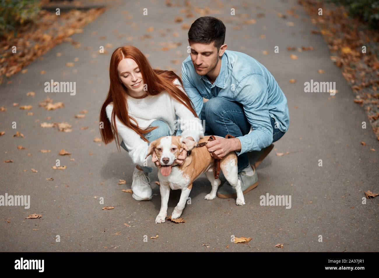 beautiful ginger girl combing , scratching her pet, stroking it. full length photo Stock Photo