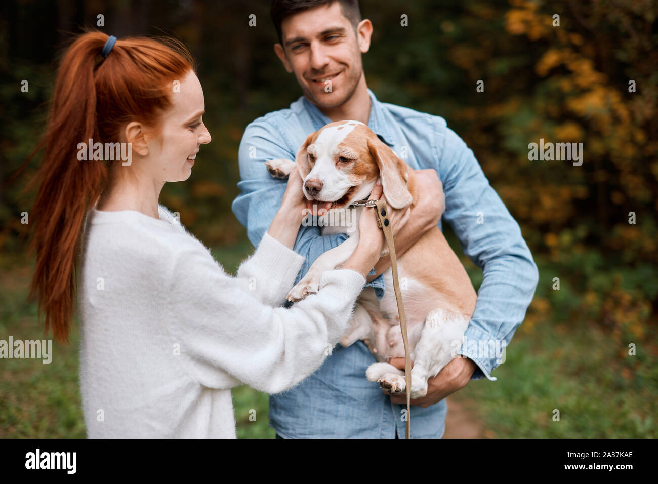 ginger happy girl having fun with pet, while her boyfriend keeping the dog,  happiness, close up photo, woman is happy as she has found her lost dog  Stock Photo - Alamy