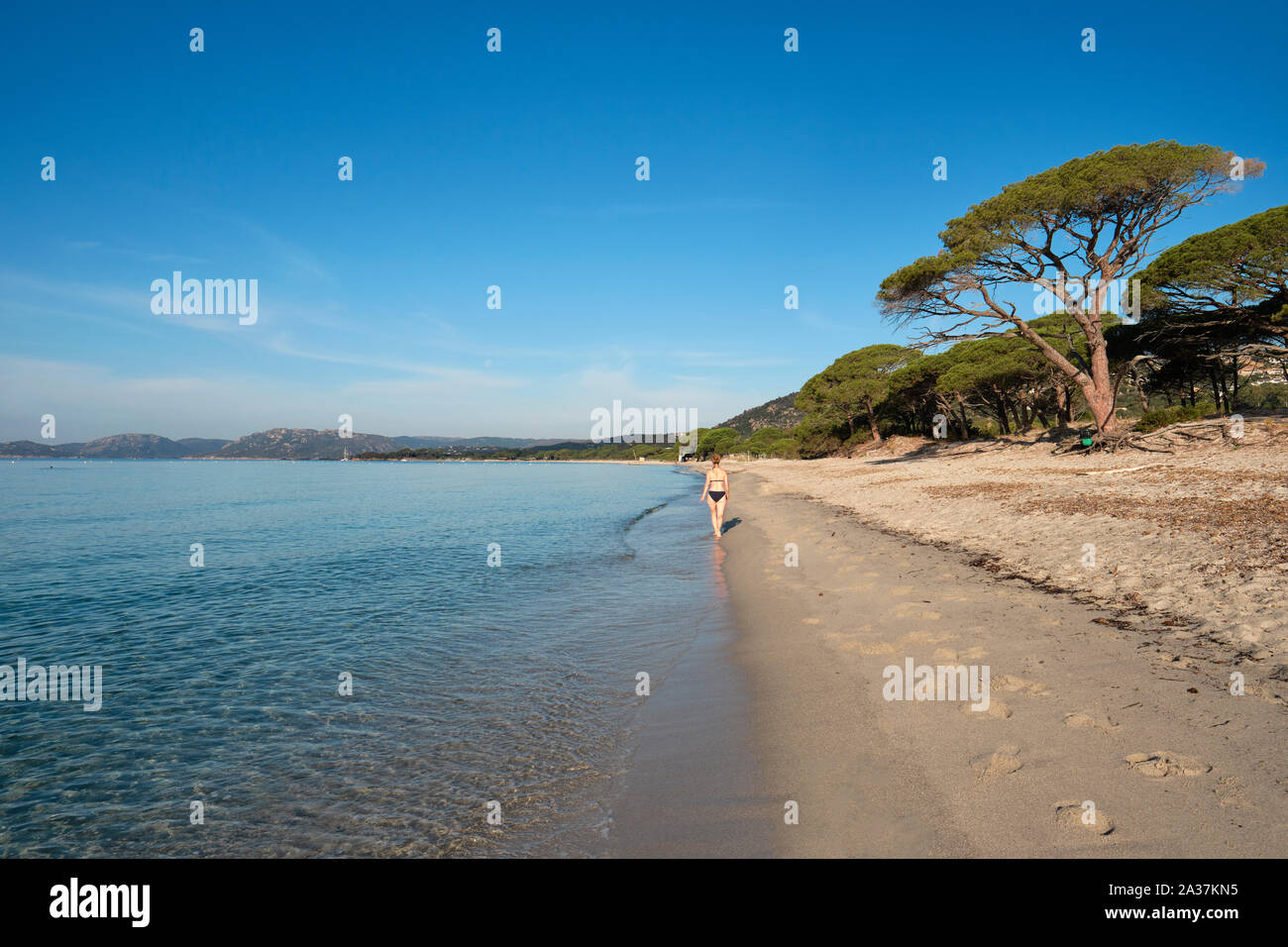 South Corsica Beaches Stock Photos South Corsica Beaches