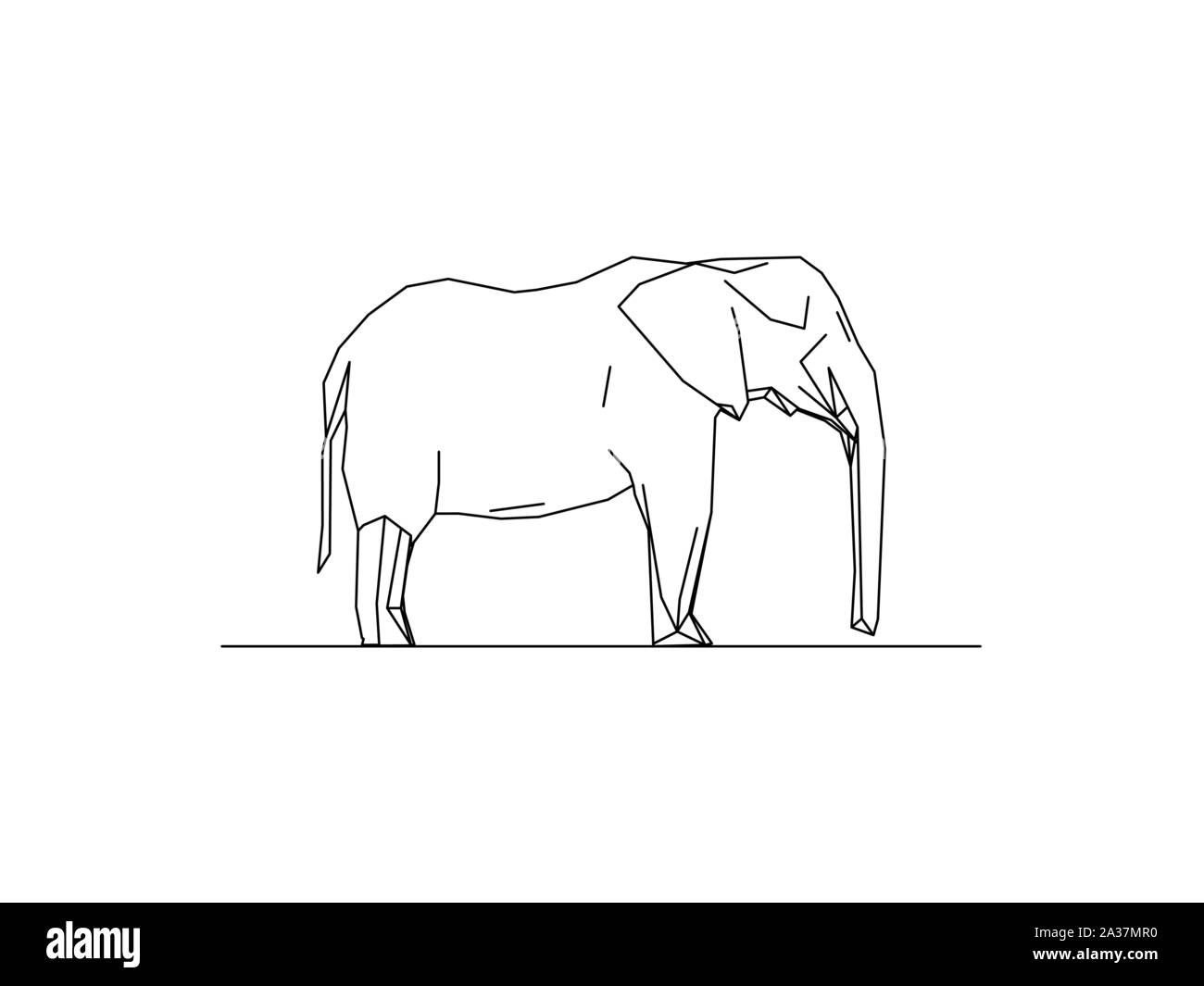 Vector illustration of a wild elephant isolated on white background ...