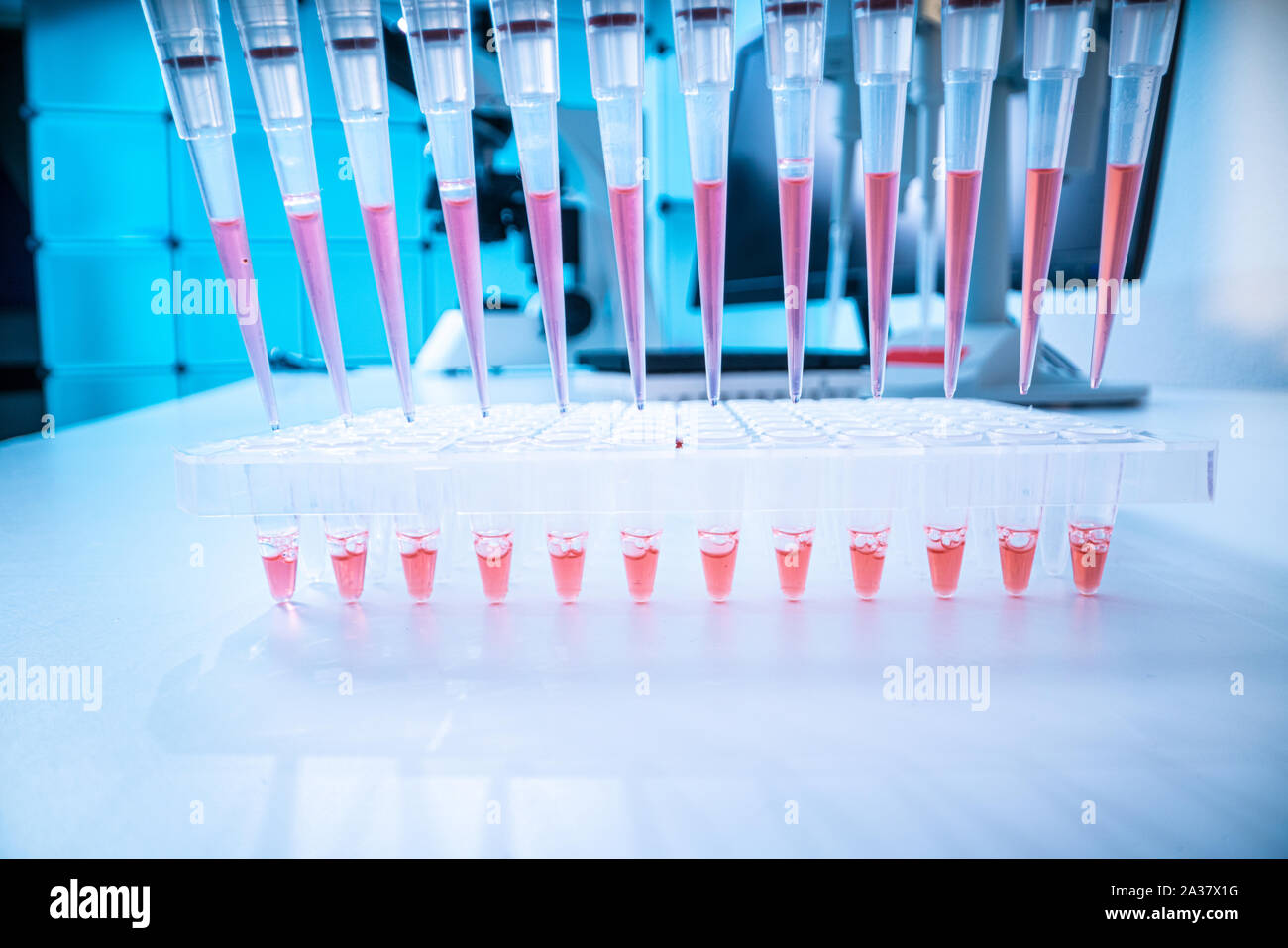 Random Dna Sample sample of biological sample for DNA analysis Stock Photo - Alamy