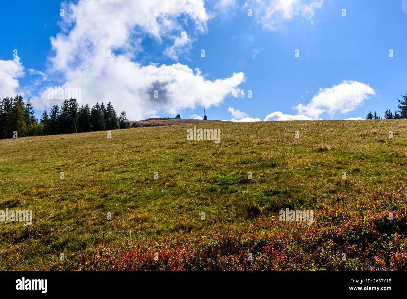 View up to the Feldberg in Germany Stock Photo