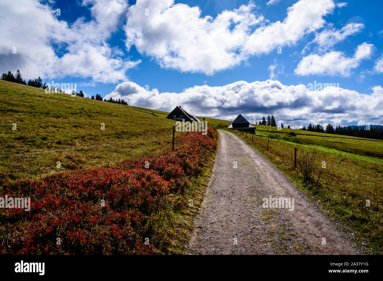 Hiking up to the Feldberg in Germany Stock Photo
