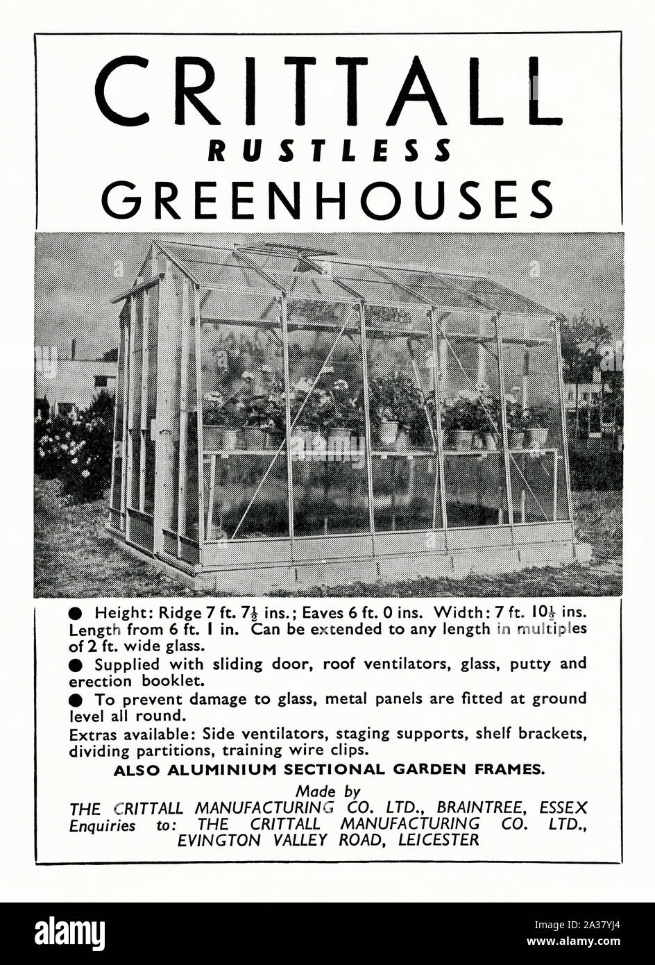 Advert for a Crittall rustless aluminium greenhouse, 1951. Crittall is most famous for its steel-framed windows. Francis Henry Crittall (1860–1935) – began to manufacture metal windows in 1884. Five years later (1889), the Crittall Manufacturing Company Ltd was incorporated. Its products have been used in thousands of buildings across the United Kingdom and beyond. The company is particularly associated with the Art Deco and Modernist movements in 20th-century architecture. Today it is based in Witham, Essex, close to its historic roots in Braintree. Stock Photo