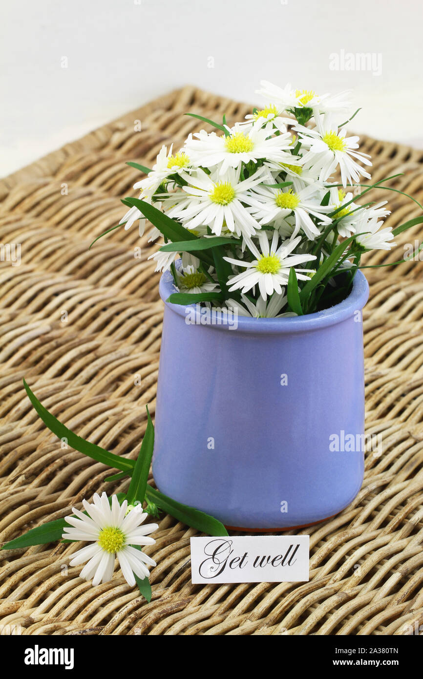 Get well card with daisies in blue vase on wicker surface Stock Photo ...