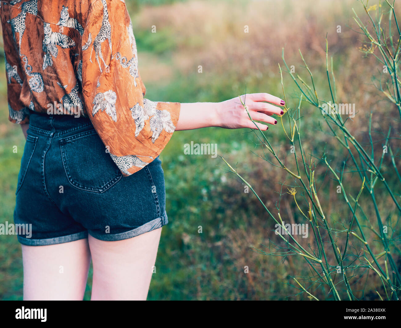 woman touching plants Stock Photo