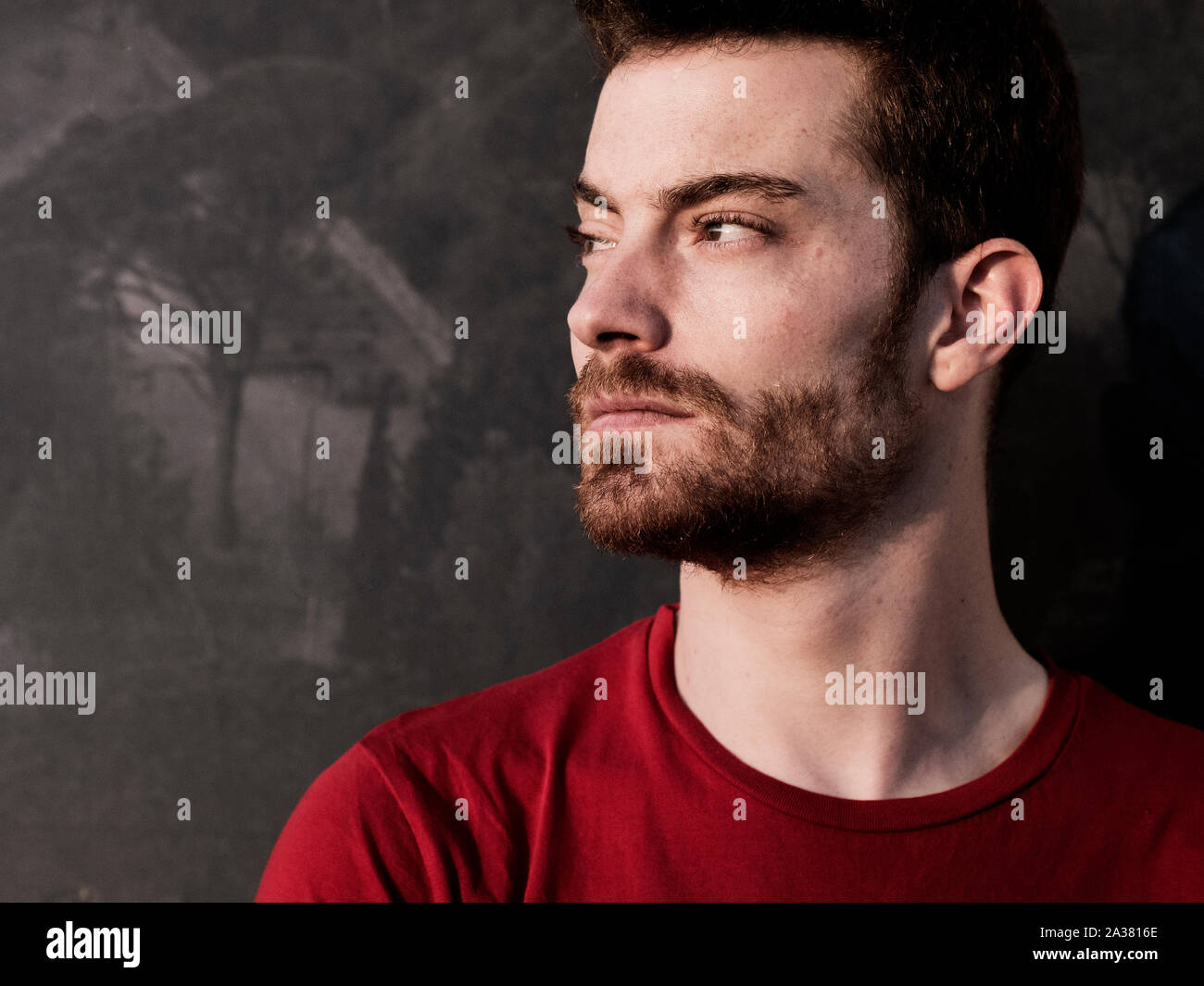 portrait of a handsome young man with red hair andhair portrait of a handsome young man with red hair andhair