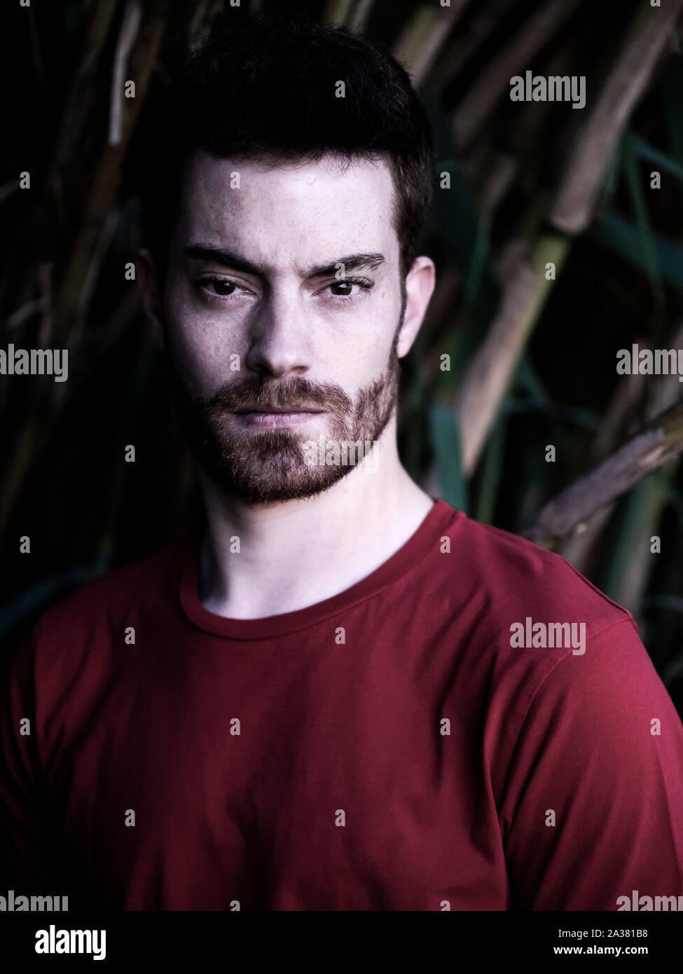 portrait of a handsome young man with red hair and facial hair, casually dressed Stock Photo