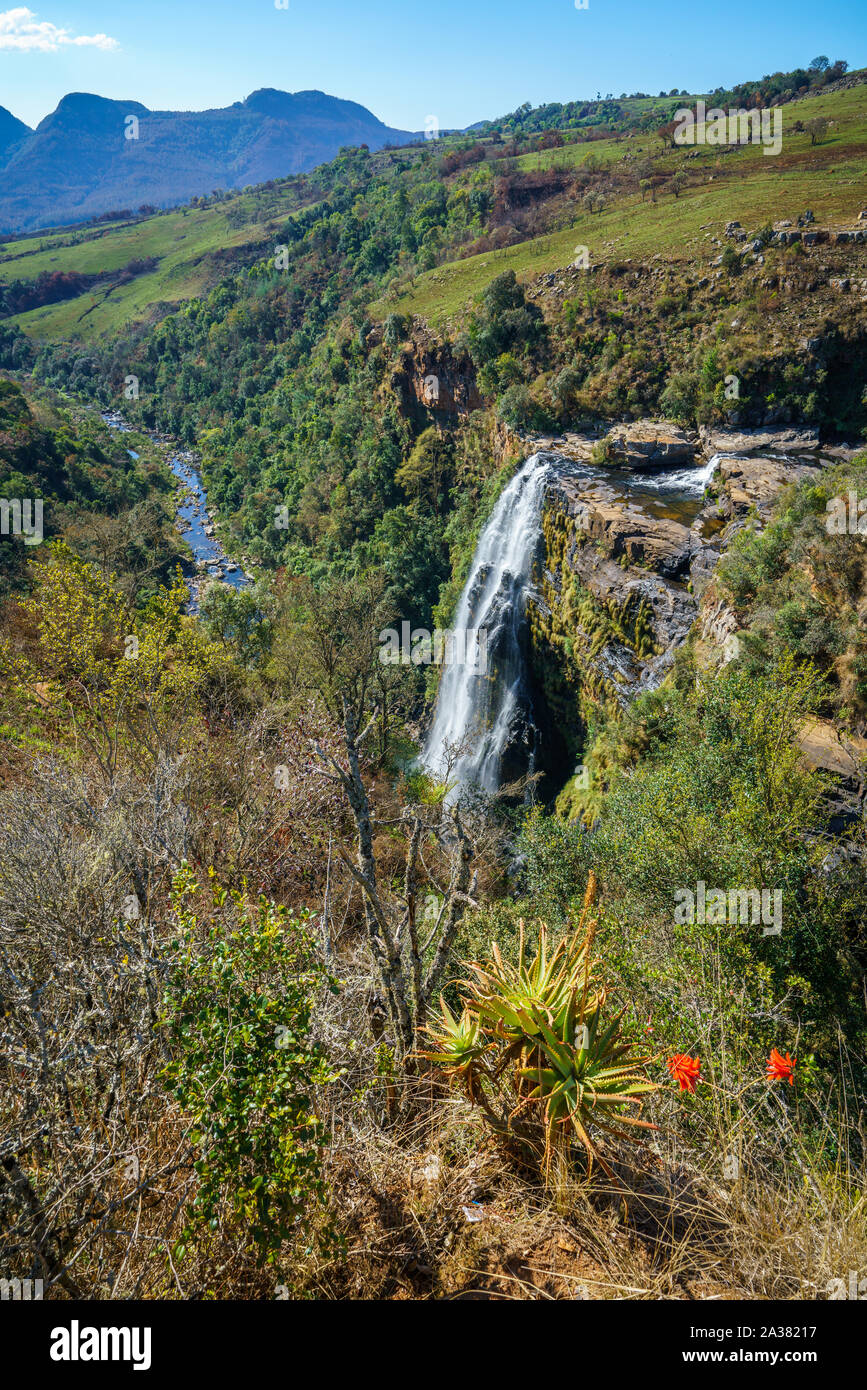 beautiful waterfall lisbon falls at panorama route in mpumalanga, south africa Stock Photo Alamy