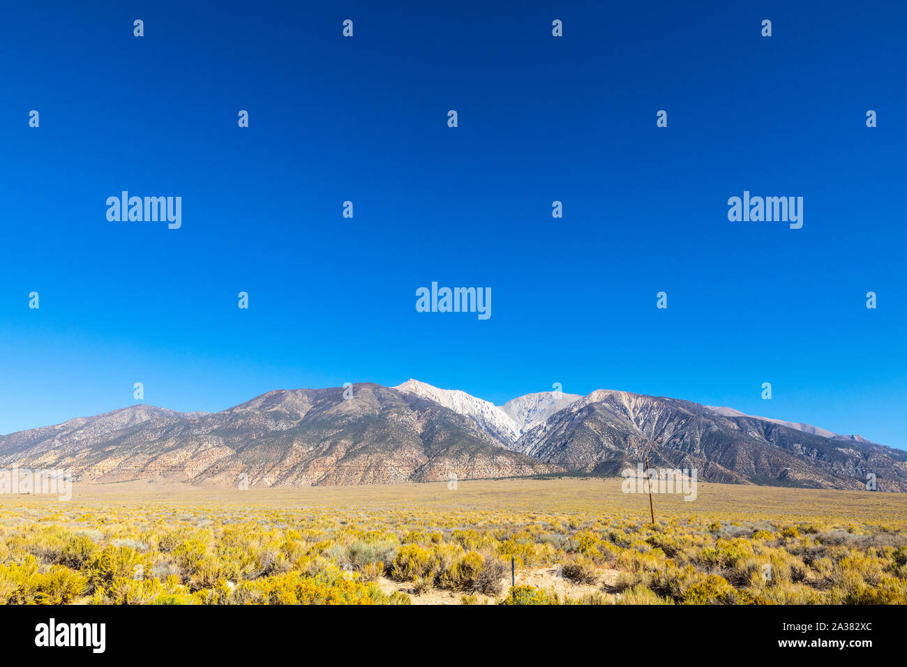 Montgomery Peak and Boundary Peak in the White mountains on the  California Nevada Border of California USA Stock Photo