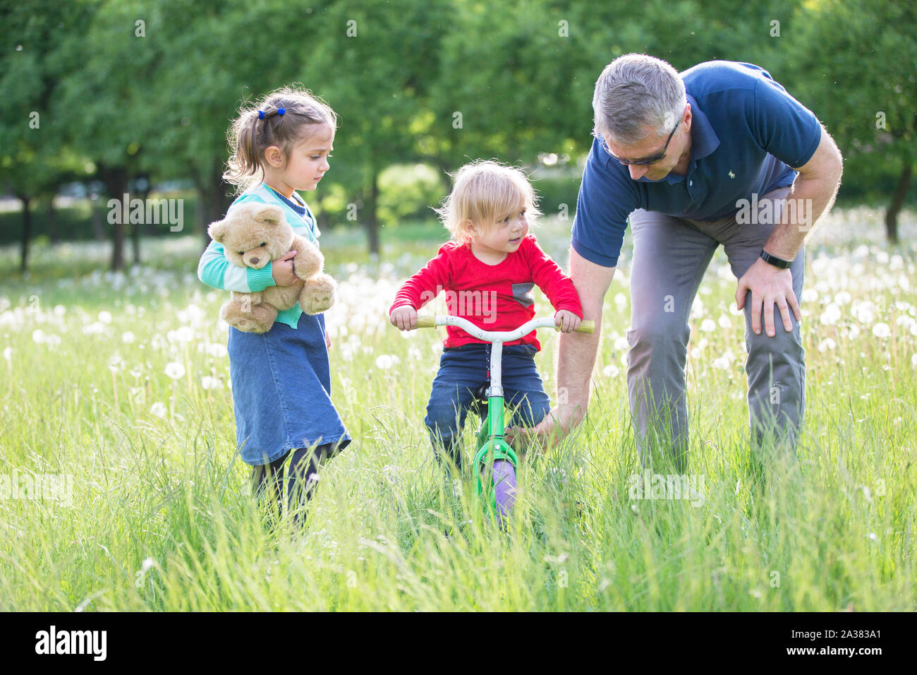 Grandfather teaches grandchildren to ride a bike.Happy Older grandfather with two kids lying on grass In park Stock Photo