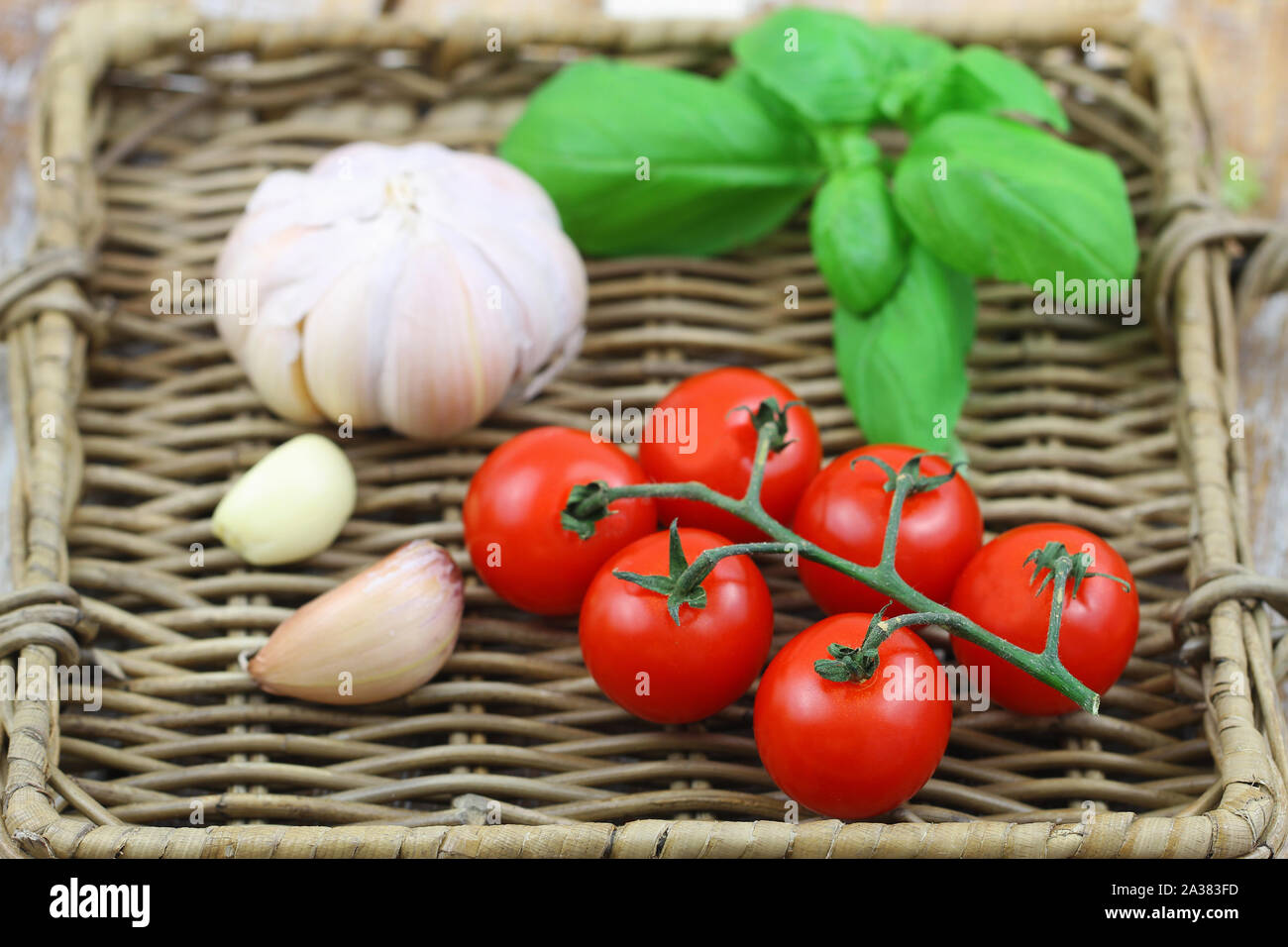 Organic ingredients: cherry tomatoes, basilicum leaves and garlic on wicker tray Stock Photo