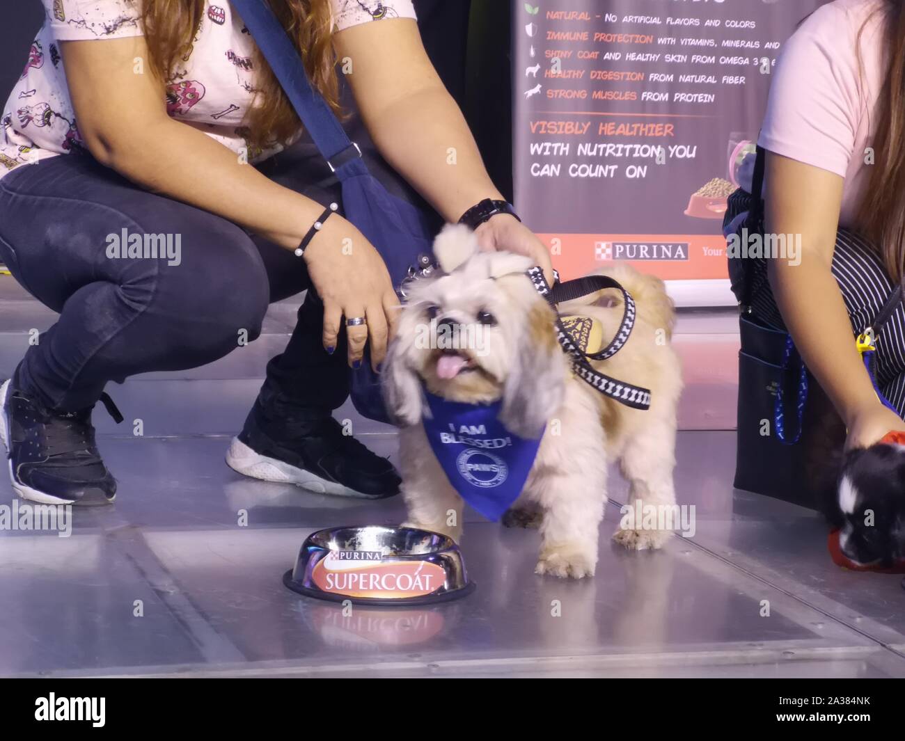 supercoat on special