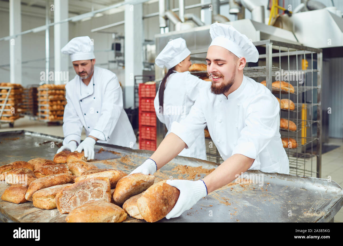 Bakers working together at baking manufacture Stock Photo Alamy