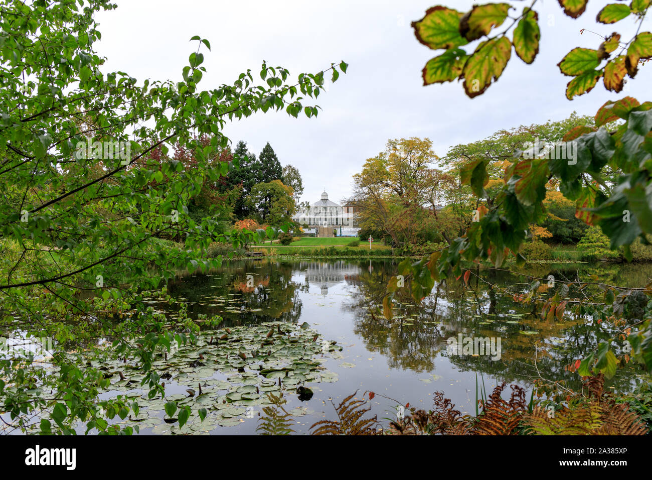 View of the lake at the botanical gardens with the Botanical Museum in the background Stock Photo