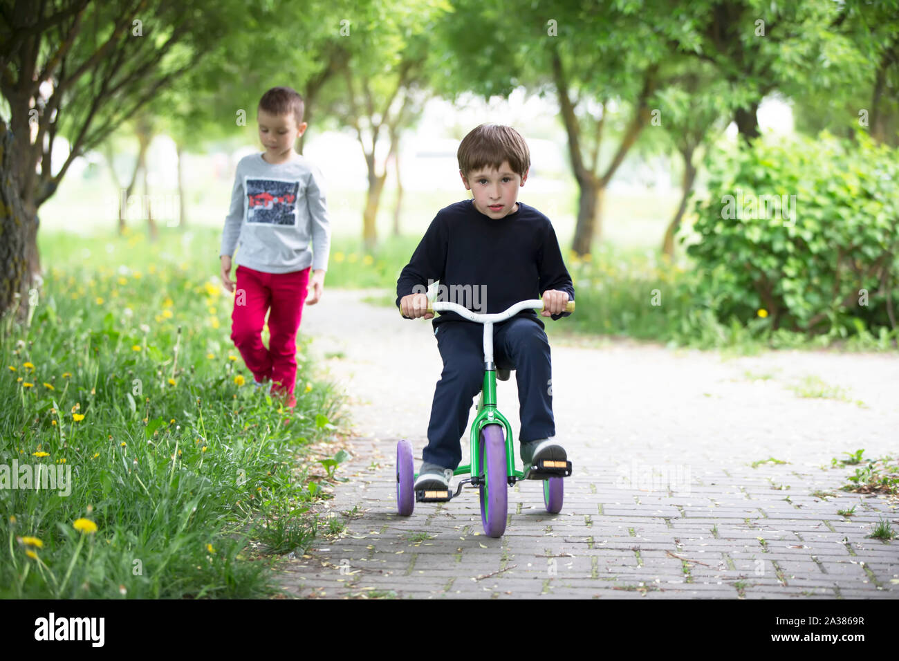 Children ride a tricycle. Bicycle riding Stock Photo Alamy