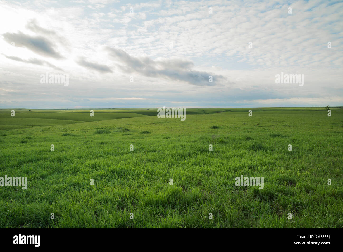 A view from the Flint Hills of Kansas Stock Photo Alamy