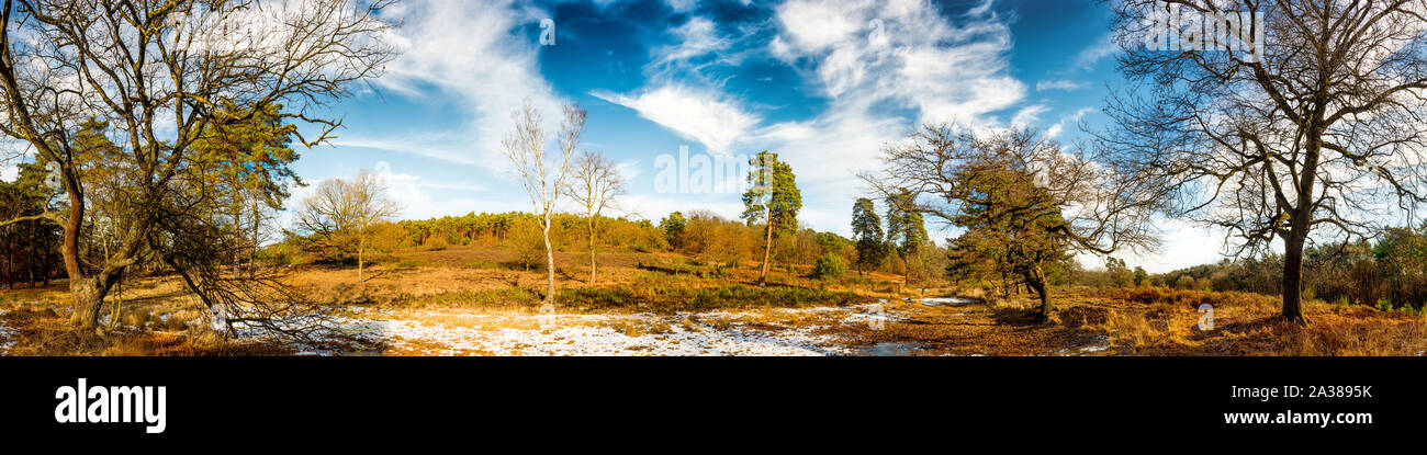 Panorama einer Naturlandschaft mit Wald und Schnee Stock Photo