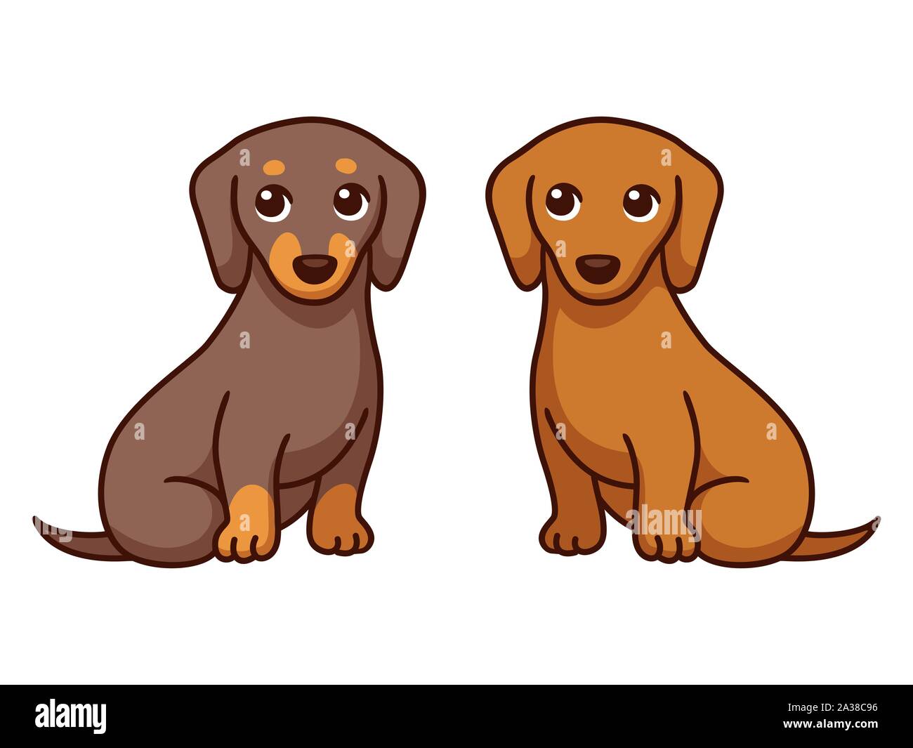 Two cartoon Dachshunds, black and brown. Couple of dogs sitting togerther.  Cute pet dog drawing, simple vector illustration Stock Vector Image & Art -  Alamy
