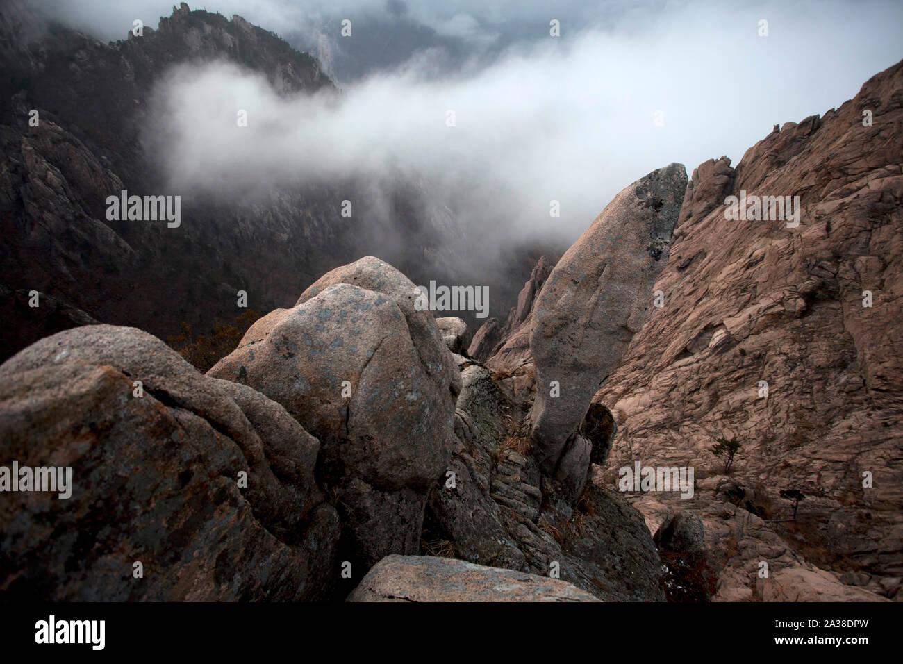 Misty mountain landscape, South Korea Stock Photo