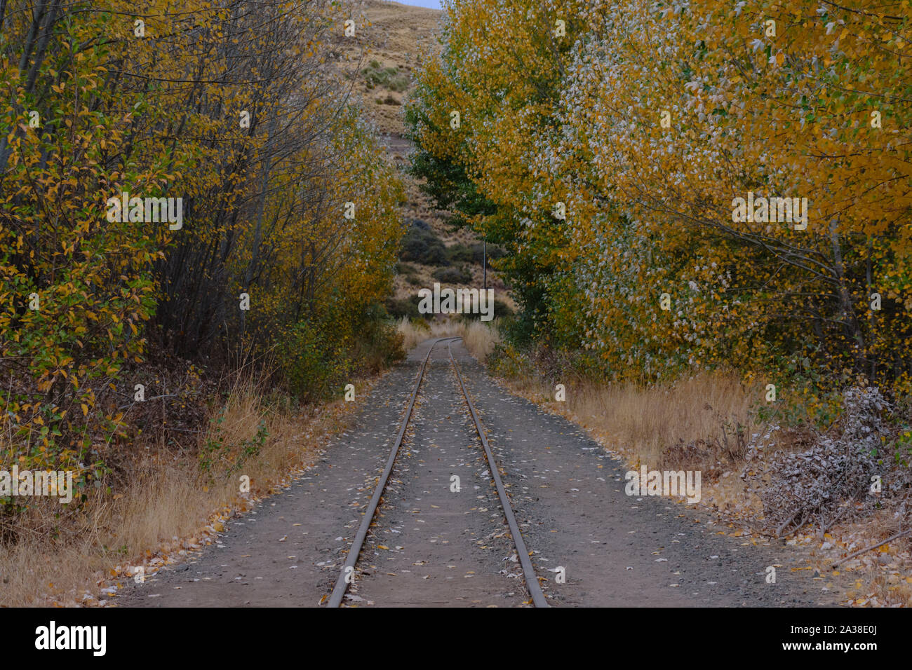 Country railway in autumn forest Stock Photo