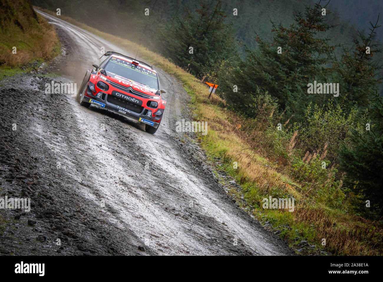 Esapekka Lappi (Finland) driving through the Myherin stage of Wales Rally GB 2019 in the Citroen C3 WRC World Rally Car Stock Photo