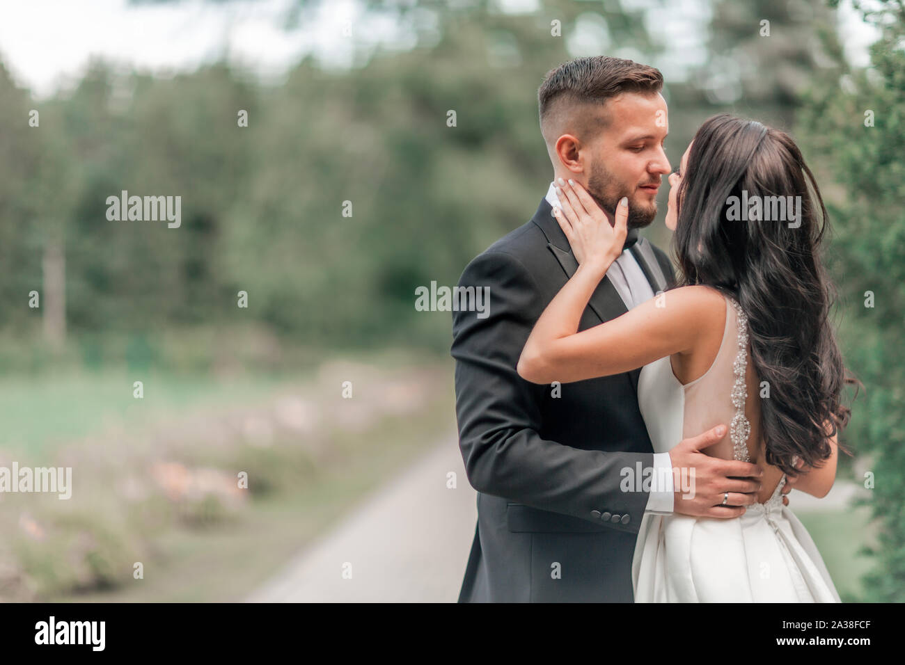 bride and groom kissing standing on the path in the Park Stock Photo ...