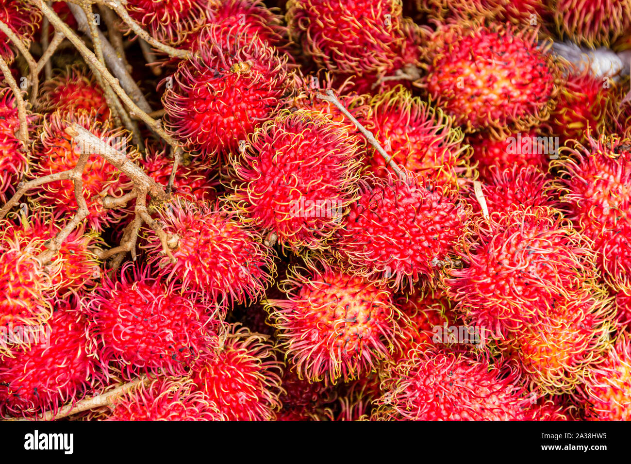 Hawai‘i, the Big Island, KailuaKona, Ali‘i Drive, Farmer's Market