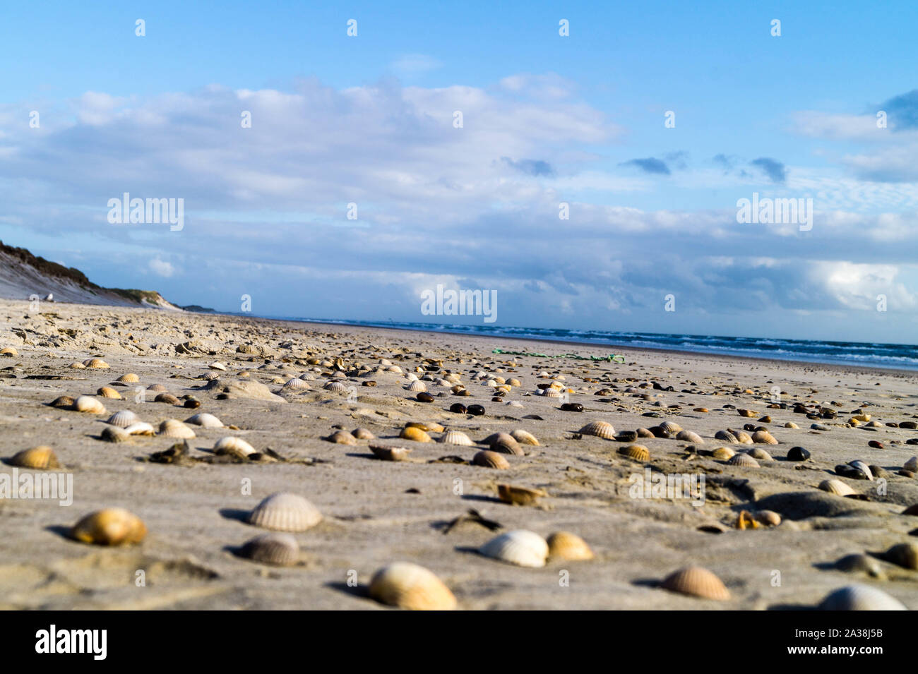 Skallingen Skallingen hi-res stock photography and images - Alamy