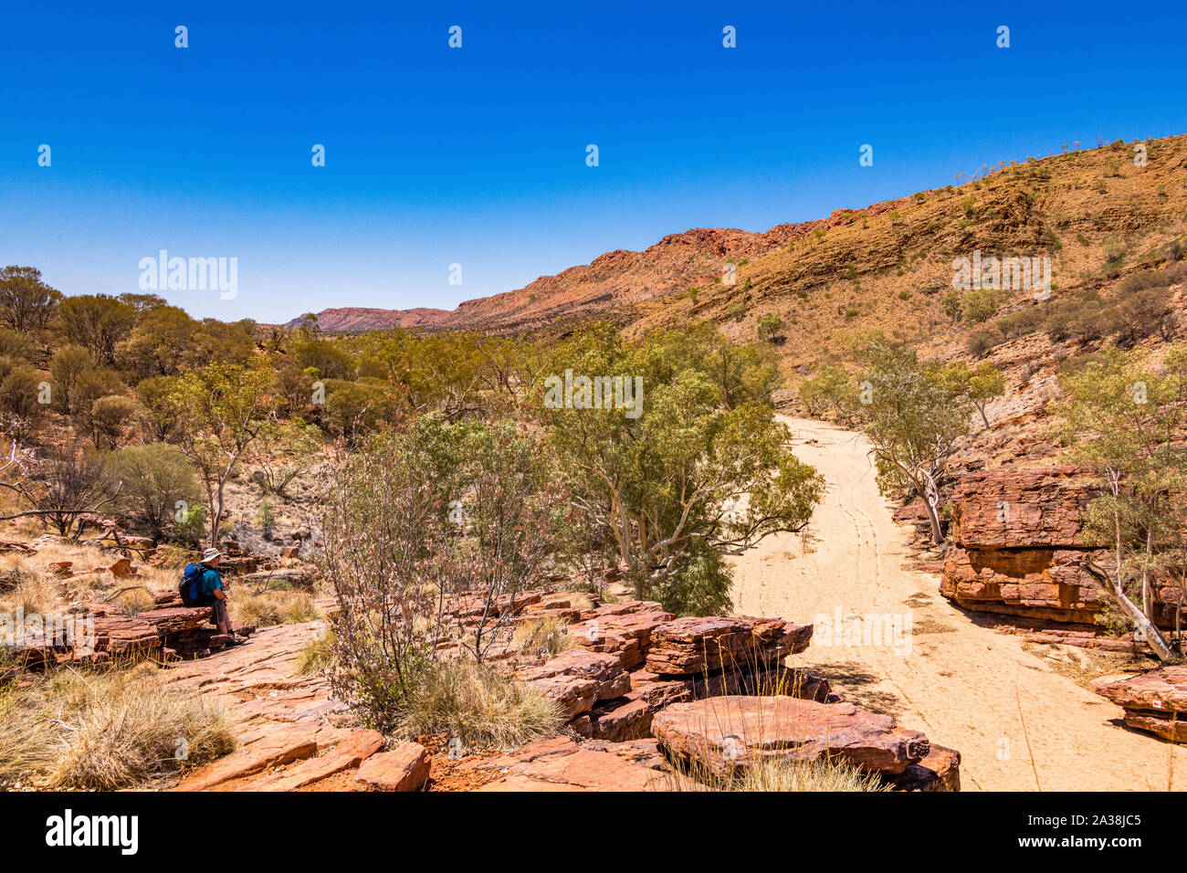 A male hiker in the Australian outback at Trephina Gorge, East MacDonnell Ranges, in the Northern Territory, Australia Stock Photo