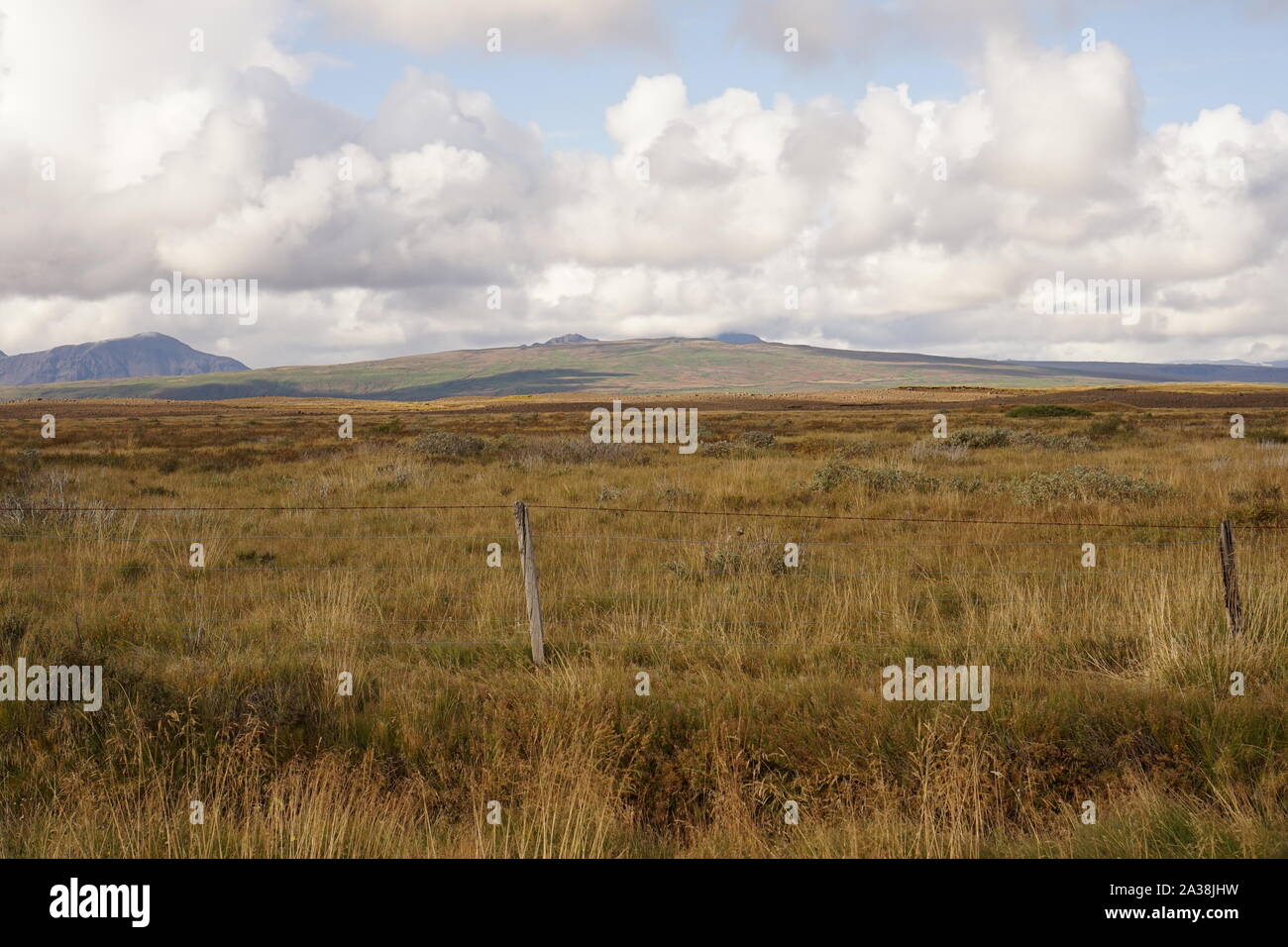 Sparse frame hi-res stock photography and images - Alamy