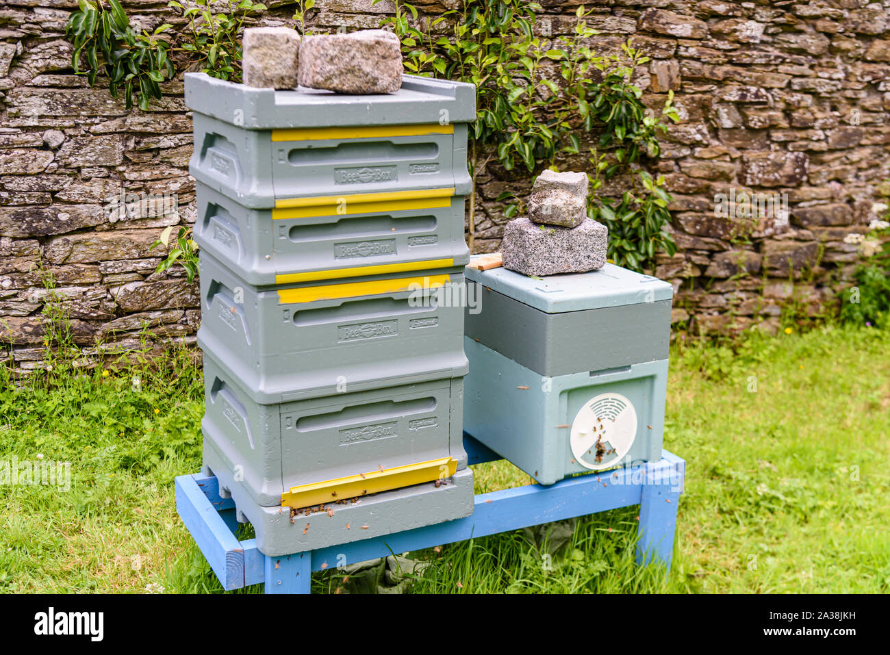 Modular plastic BeeBox Finland Beehives from Paradise Honey Ltd in a garden  Stock Photo - Alamy