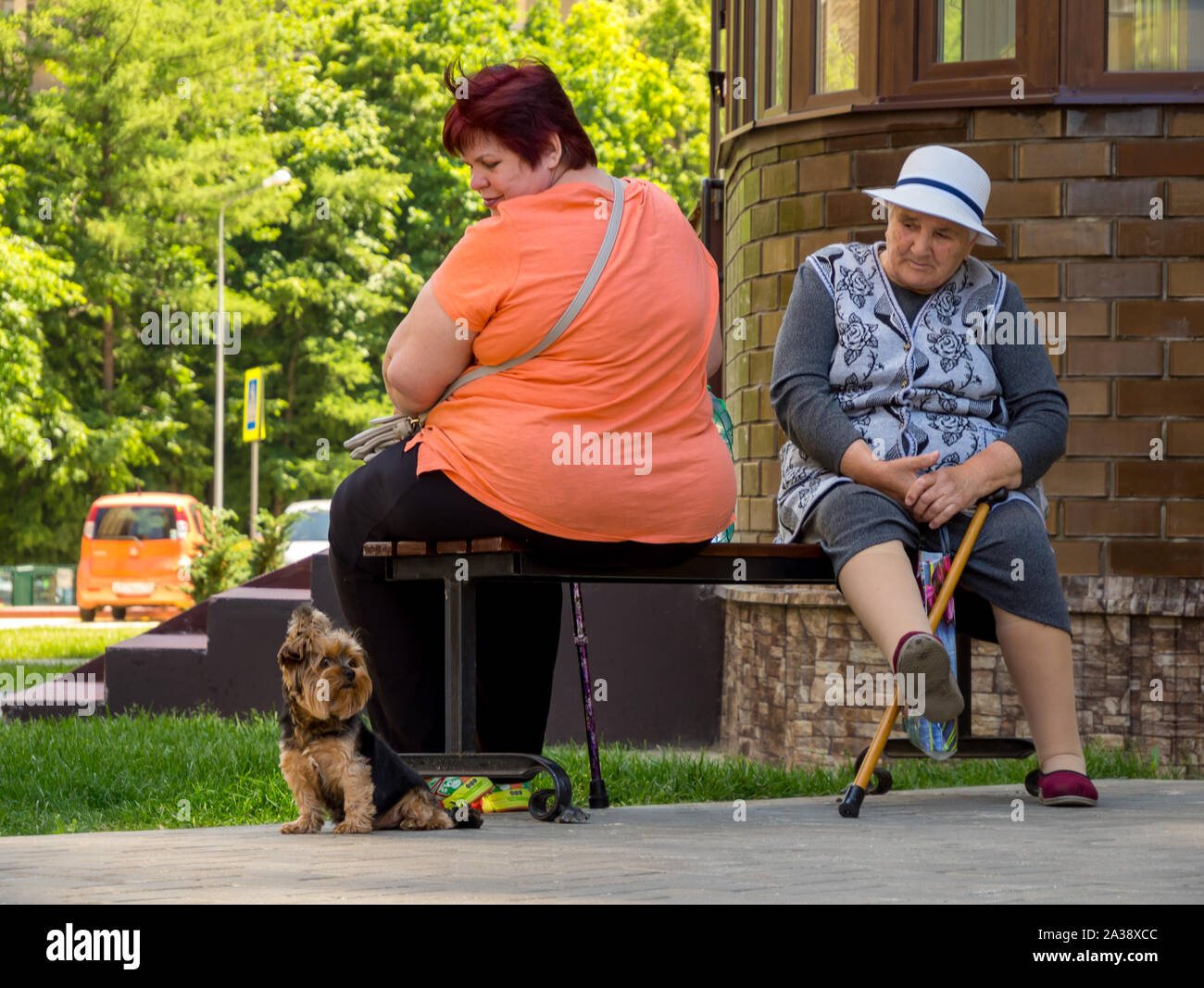 Elderly women with dog hi-res stock photography and images - Alamy