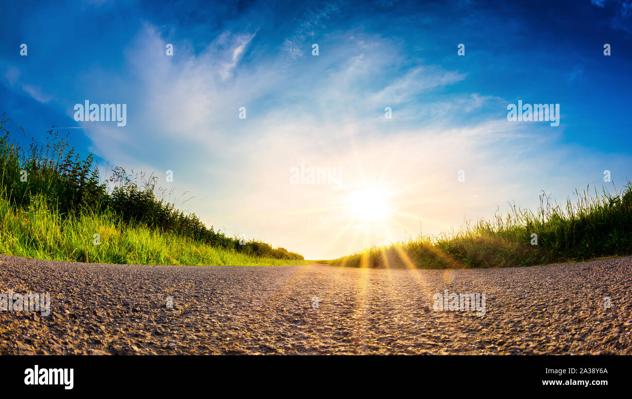 Rural road through green fields at sunrise Stock Photo