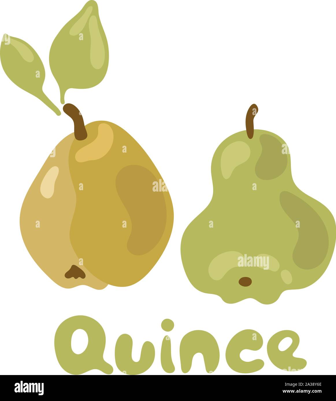 Photo quince Stock Vector Images - Alamy