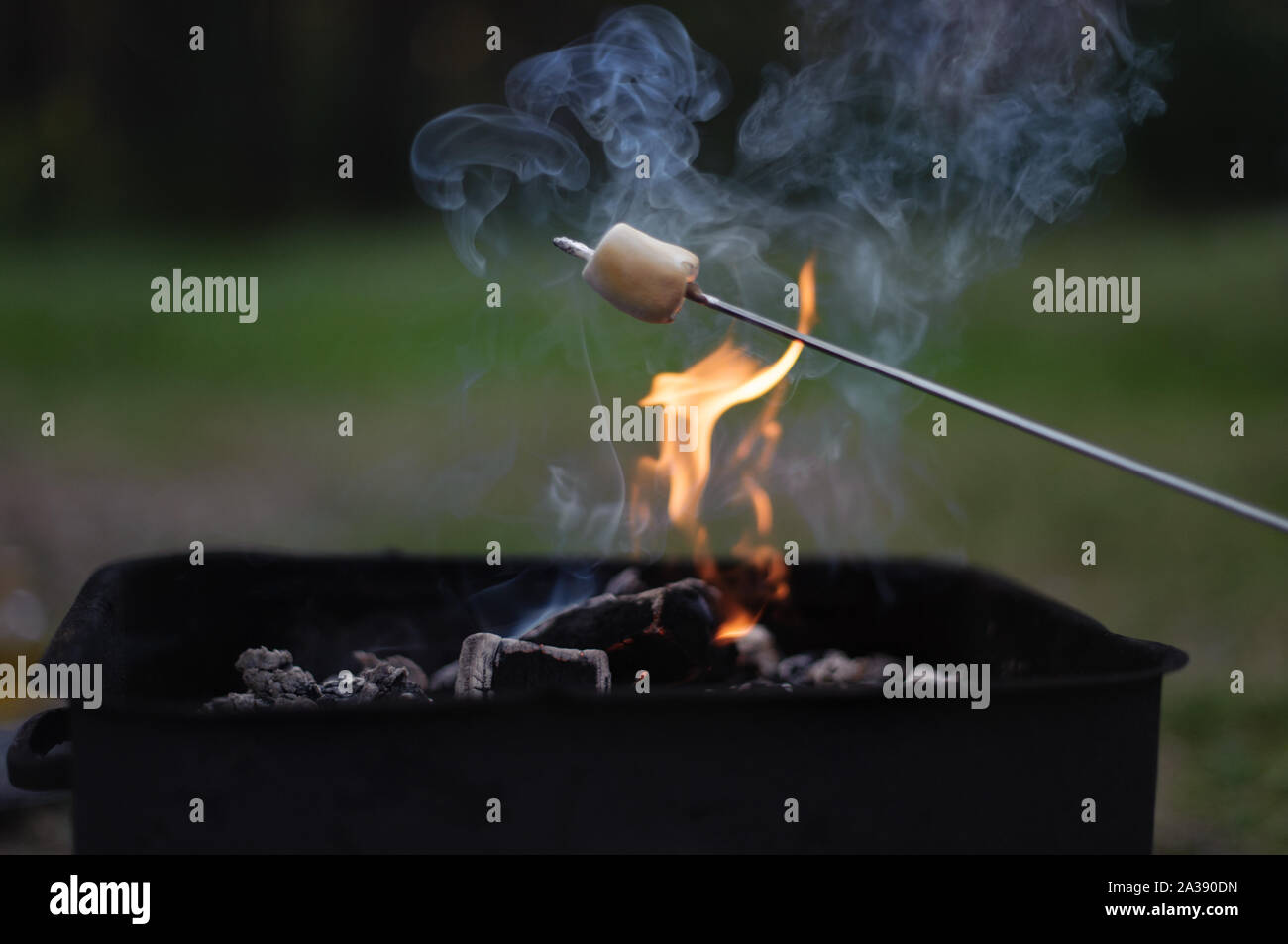 Bonfire with marshmallow.Roasting marshmallows over an open campfire. Marshmallow outdoor campfire night. Selective focus. Stock Photo