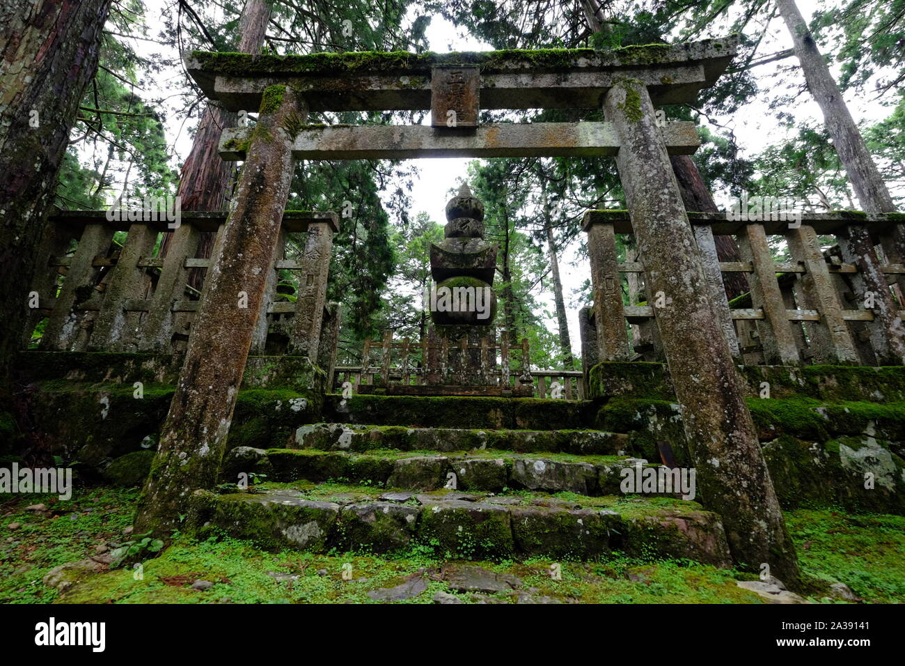 Oku-no-in buddhist graveyard torii gate covered in moss Stock Photo