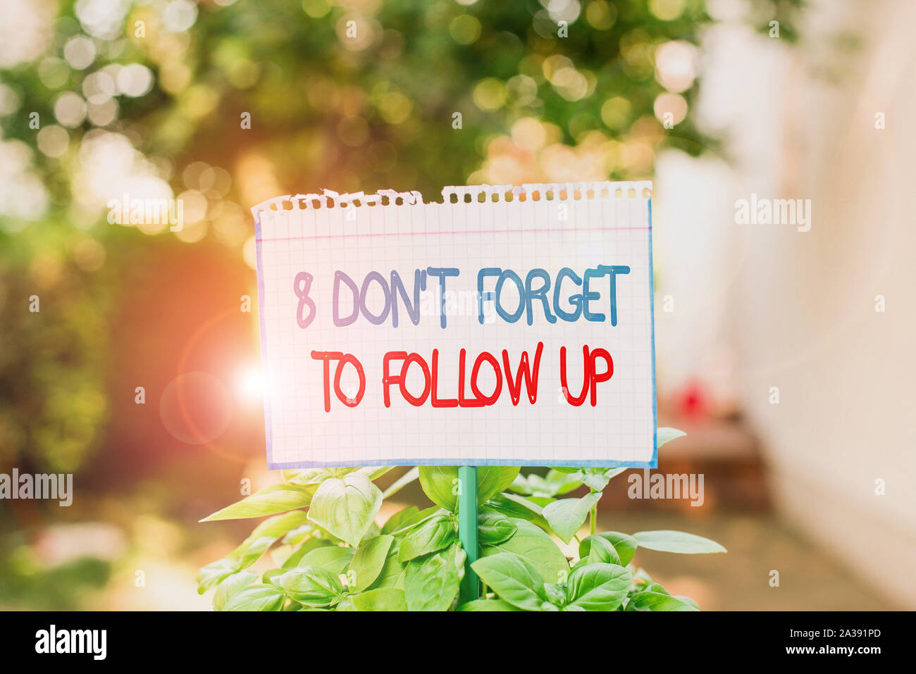 Don't forget to smile. Don't forget картинка для презентации. Донт фогет. Don t forget to ask. Don't forget красиво надпись.