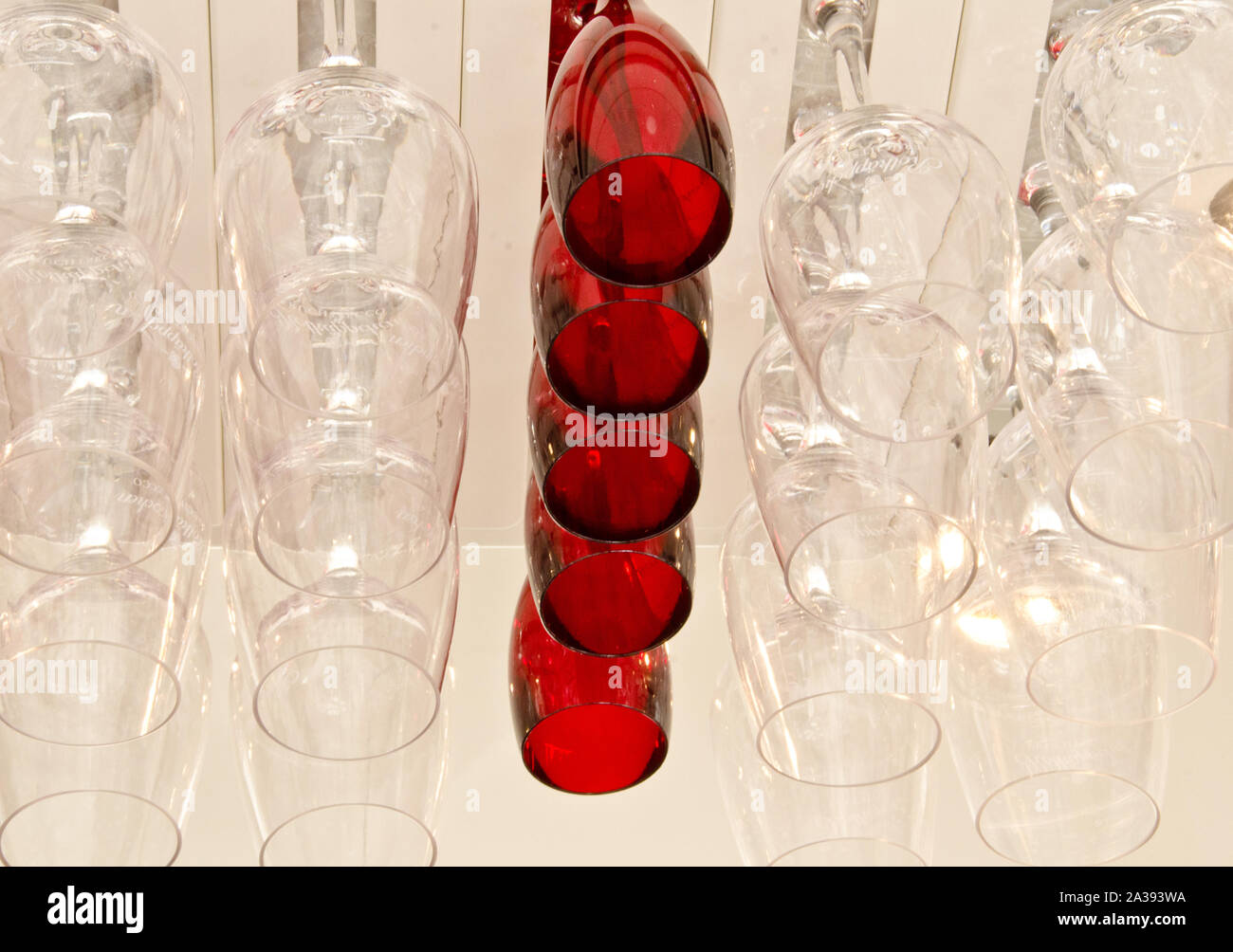Many glasses for champagne, hanging headlong in lines, transparent lines, and one line is from red glasses Stock Photo