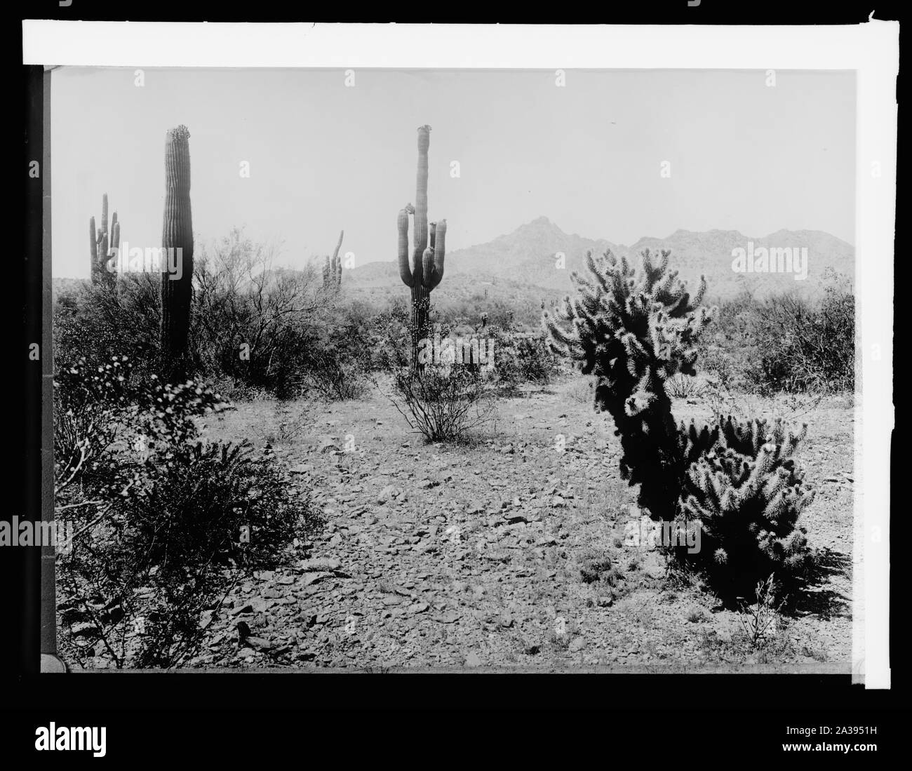 Salt River Project, Phoenix, Ariz Stock Photo Alamy