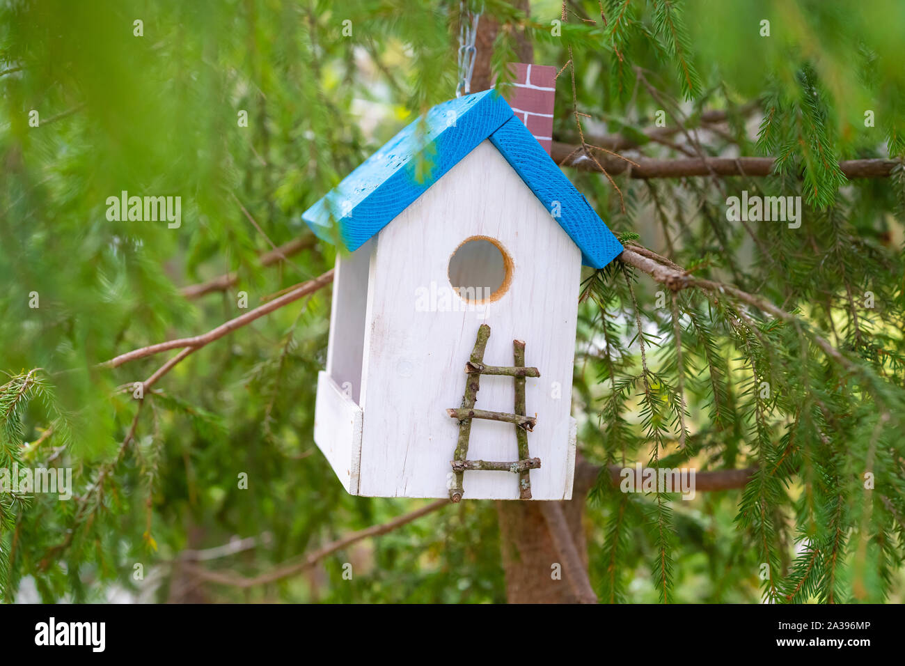 Birdhouse in the spruce forest. Help for feathered friends. Stock Photo