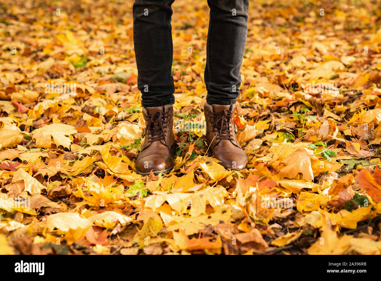 Hipster legs in brown shoes in autumn park with yellow and red maple fallen leaves around. Seasonal conceptual background image Stock Photo