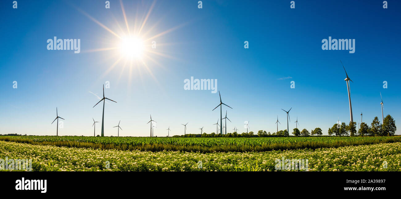 Panorama of a summer landscape with many wind turbines, green fields ...