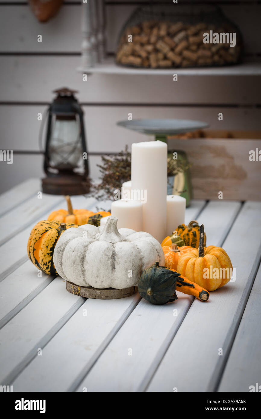 Autumn table setting decoration with candles and pumpkins, toned Stock ...