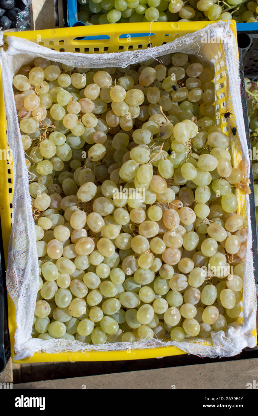 Grapes in boxes hi-res stock photography and images - Alamy