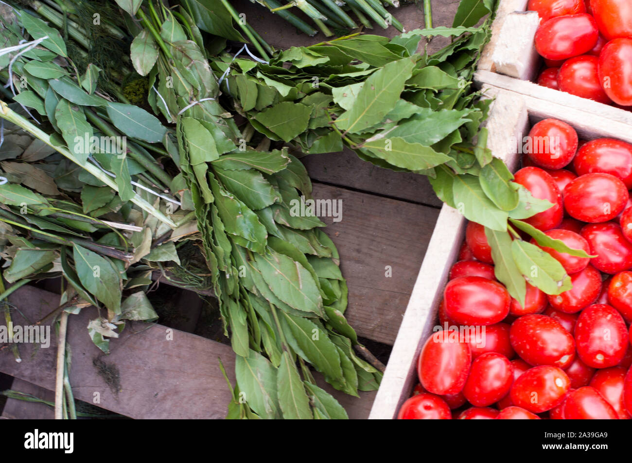 Bay leaf branches and tomatoes in crates. all  prepared for sale. Close-up. Stock Photo