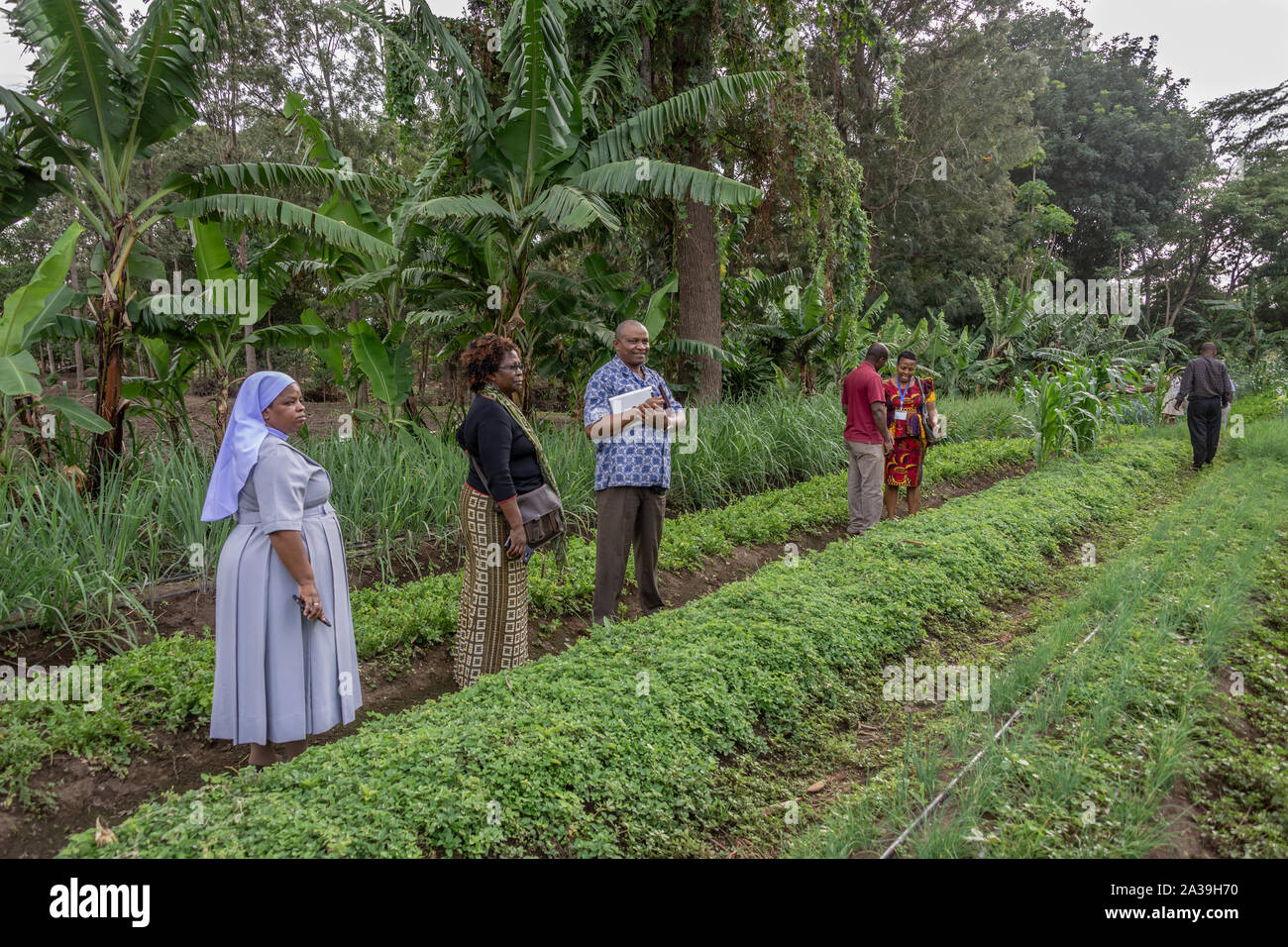 Visit of agricultural experts to vegetable farm in Arusha, Tanzania Stock Photo