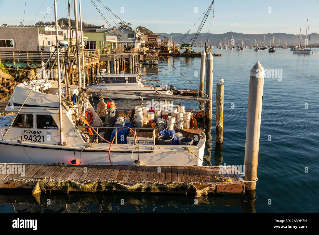 Jewel Of Morro Bay California Hi res Stock Photography And Images Alamy Jewel of morro bay california hi res stock photography and images alamy